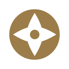 Ninja Star Sticker - gold and white